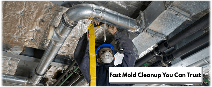 Air Duct Mold Removal in Wylie TX