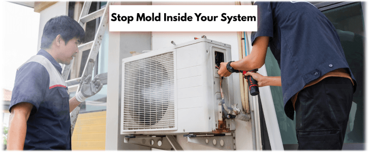 HVAC Mold Removal Wylie TX